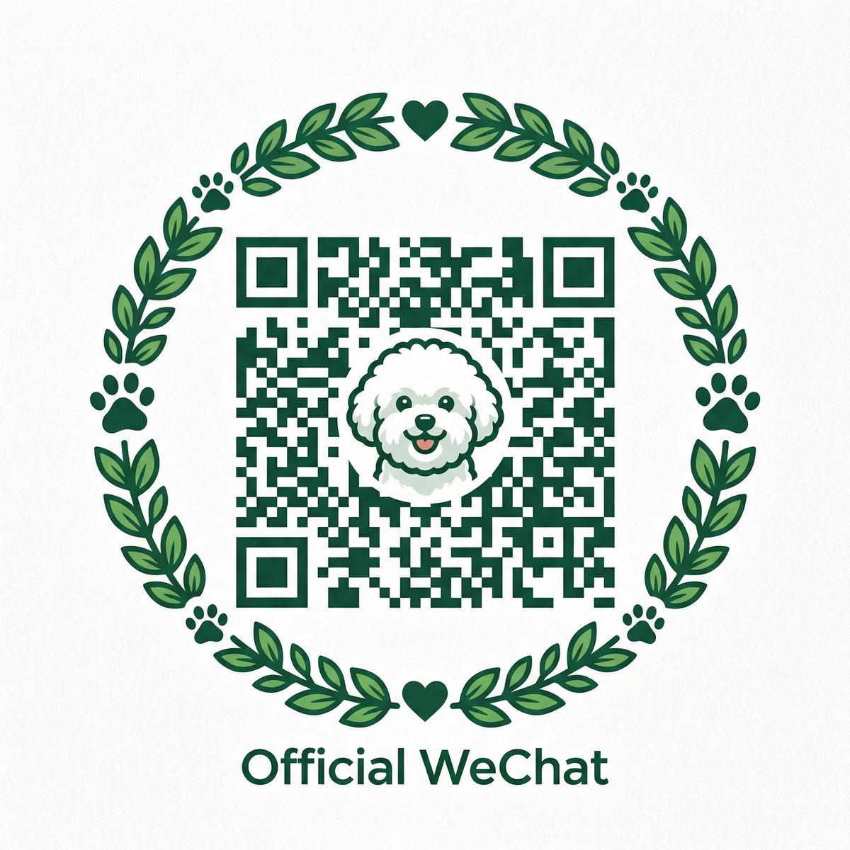 男同视频公众号